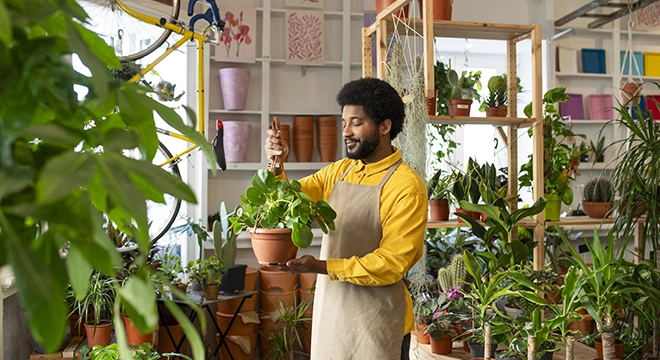 Small Business Loans
